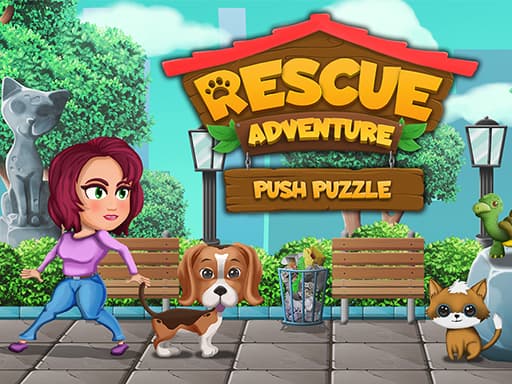 Push Puzzle Rescue Adventure